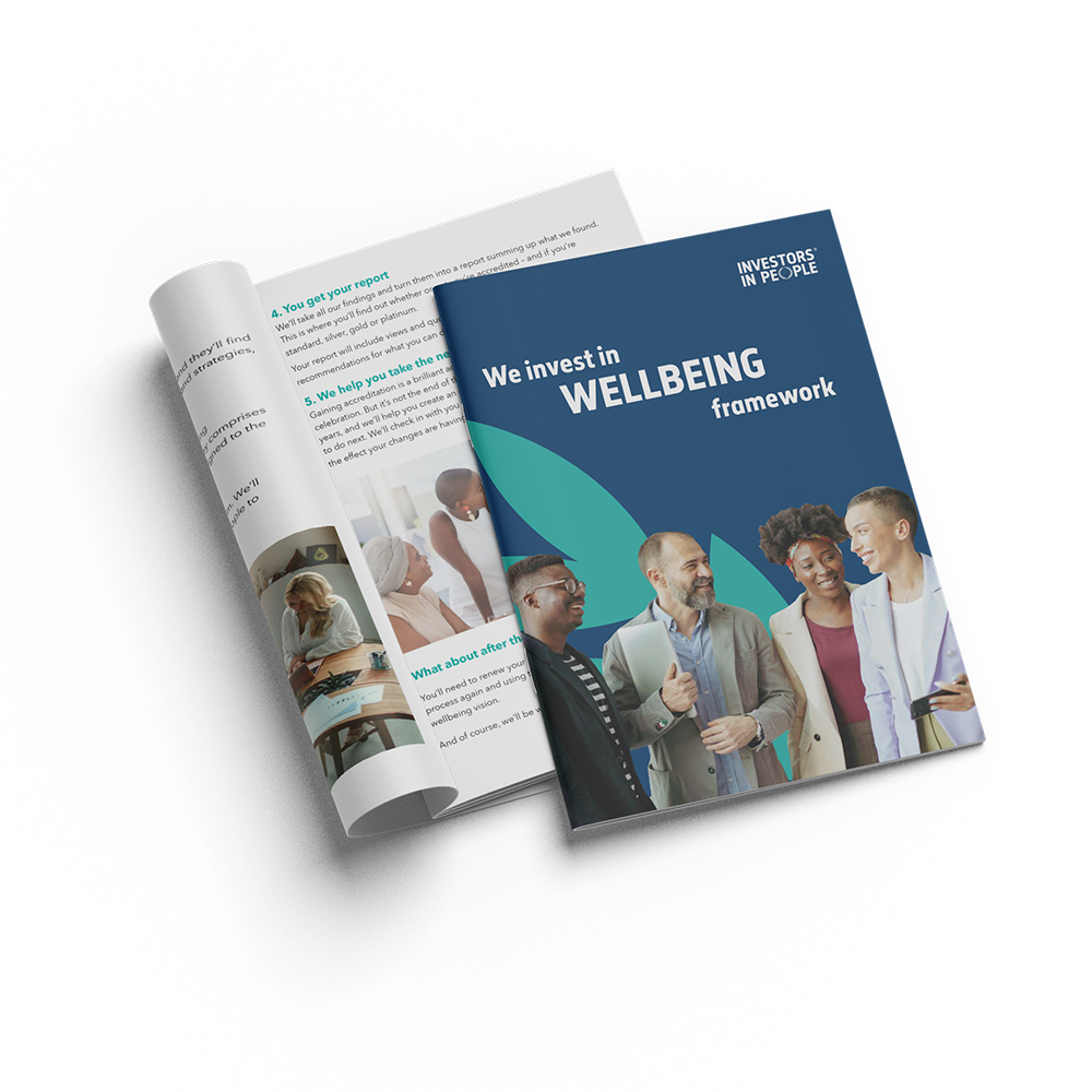 The We Invest in Wellbeing framework brochure