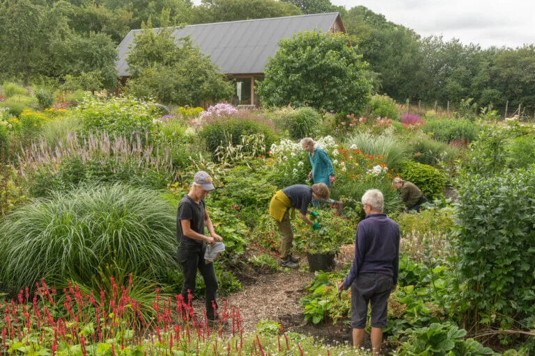 Volunteers working across Sunnyside Rural Trust's gardens